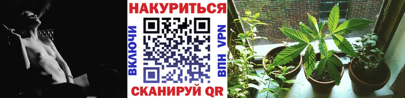 Где продают наркотики Игра АМФ А ПВП ГАШ Каннабис Меф hydra ссылка COCAIN