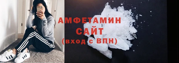стаф Володарск