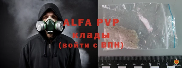 стаф Володарск