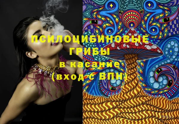стаф Володарск