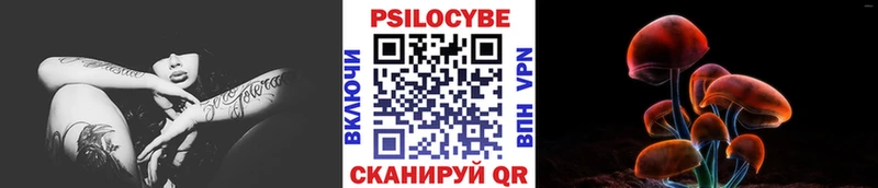 blacksprut ONION Игра Псилоцибиновые грибы мицелий